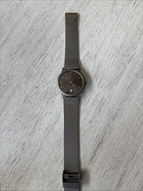 Skagen Men's Matte Gray Titanium Mesh Watch works but needs a battery.
